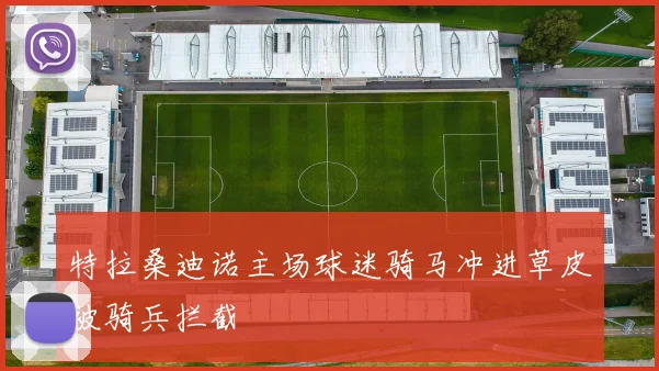 特拉桑迪诺主场球迷骑马冲进草皮被骑兵拦截