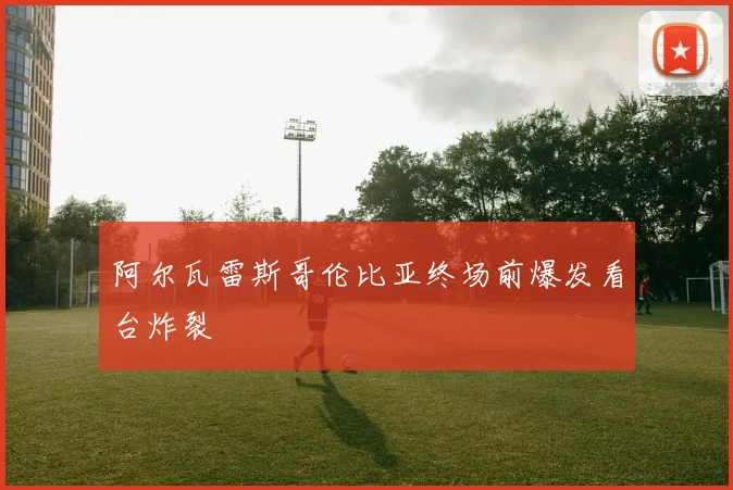 阿尔瓦雷斯哥伦比亚终场前爆发看台炸裂