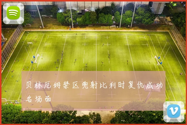 贝林厄姆禁区兜射比利时复仇成功名场面