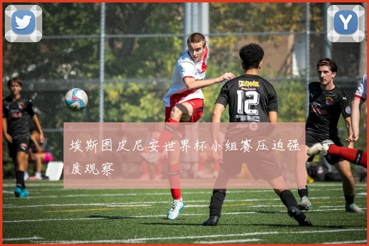 埃斯图皮尼安世界杯小组赛压迫强度观察