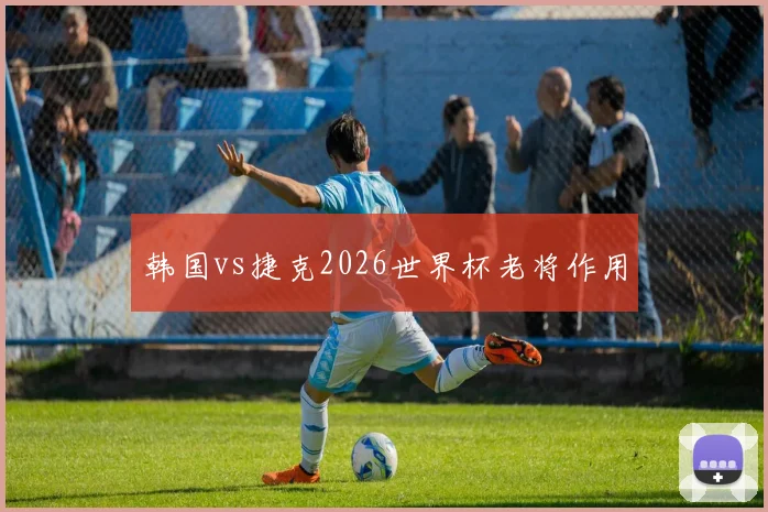 韩国vs捷克2026世界杯老将作用