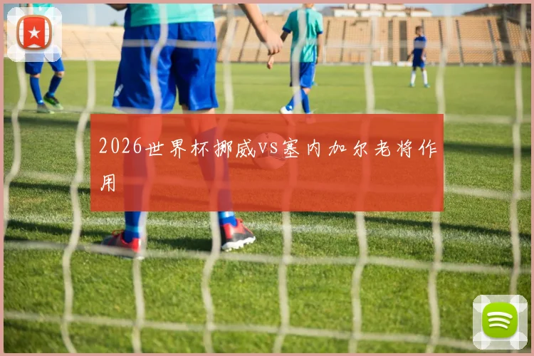 2026世界杯挪威vs塞内加尔老将作用