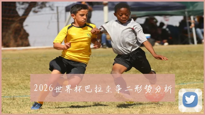 2026世界杯巴拉圭争二形势分析