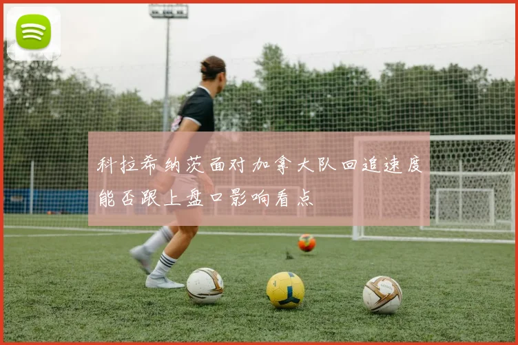 科拉希纳茨面对加拿大队回追速度能否跟上盘口影响看点