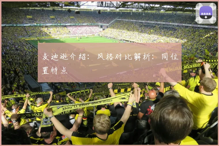 麦迪逊介绍：风格对比解析：同位置特点